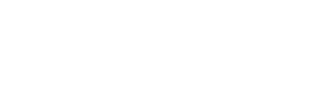 light logo